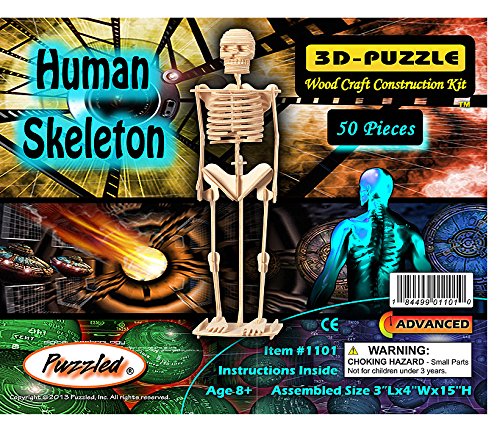Puzzled Human Skeleton Wooden 3D Puzzle Construction Kit