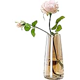 FANTESTICRYAN Modern Glass Vase Irised Crystal Clear Glass Vase for Home Office Decor (Crystal Amber)