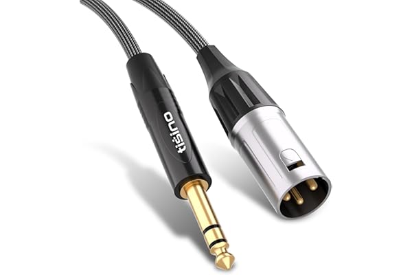 TISINO 1/4 to XLR Cable, Balanced 6.35mm 1/4 TRS to XLR Male Quarter inch to XLR Stereo Male Cord - 3.3ft