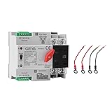 Mini ATS Automatic Transfer Switch 2P 100A