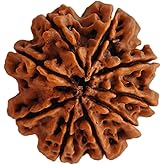NAISHA 9 Mukhi Rudraksha Bead Necklace, 100% Certified & Original Nine-Faced Rudraksha Seed for Pooja/Prayer/Meditation