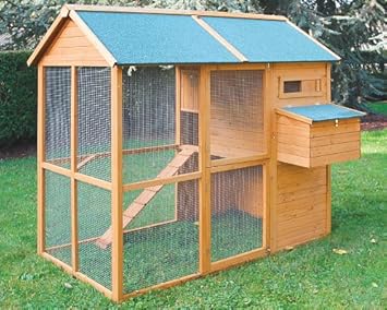 poulailler 10 poules amazon