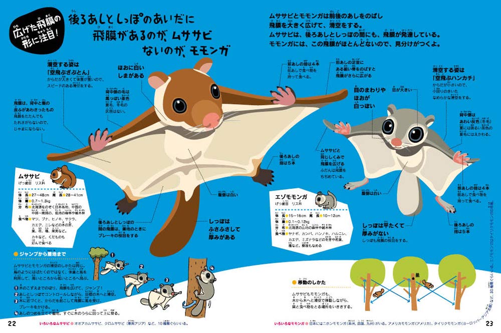 Which One Encyclopedia Which Ones Like The Picture Book I See New Wide Isbn 07 Japanese Import Amazon Com Books