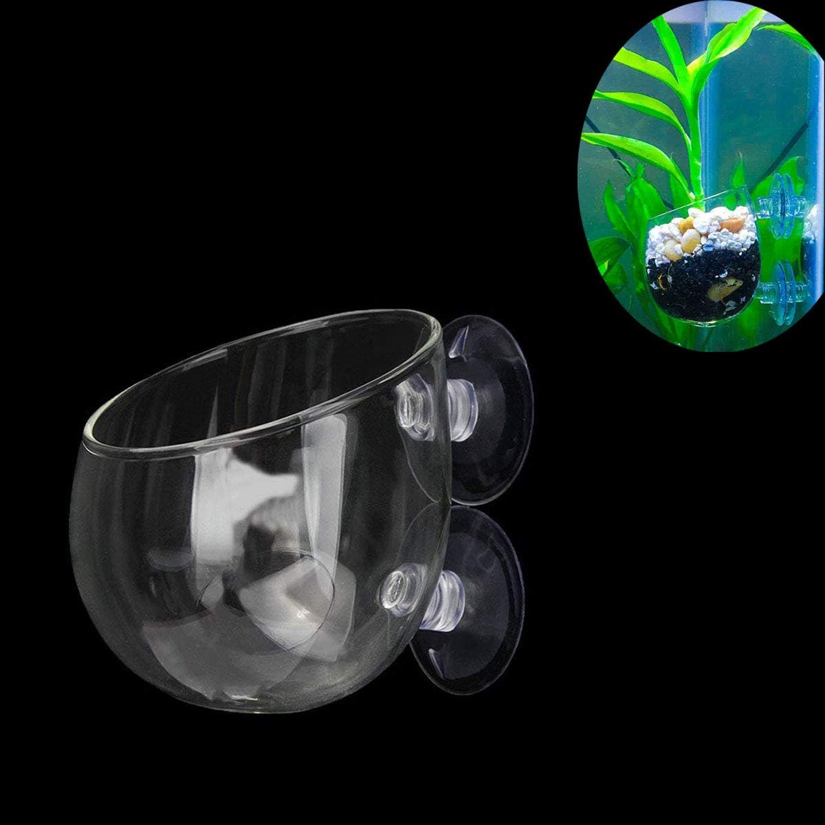 Ailinda 1PCS Crystal Glass Aquatic Plant Cup Pot Holder