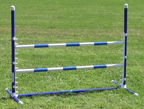 Affordable Agility Blue Competition Adjustable Jump