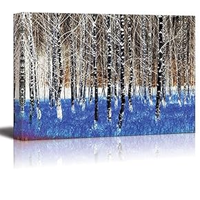 A Birch Tree Forest Exposed - Canvas Art Home Art - 12x18 inches