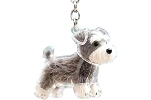 Dog Hair Collector Keychain Charm – Transparent Dog & Cat Fur Keepsake Pendant, Memorial Storage Box Charm for Loss of Pet, P