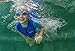 Cressi Cressi Kids Swimsuit, blue, XL