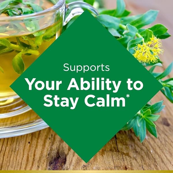 NATURE’S BOUNTY MENTAL FATIGUE AND STRESS RELIEF, RHODIOLA SUPPLEMENT, 400 MG, CAPSULES, 30 COUNT