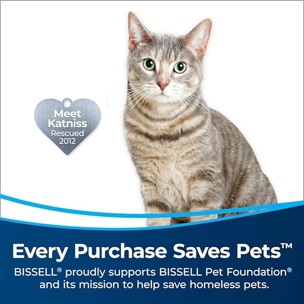 BISSELL® EV775 WI-FI CONNECTED ROBOT, SMARTSENSE TECHNOLOGY MULTI-SURFACE CLEANING, CARPETS, HARD FLOORS