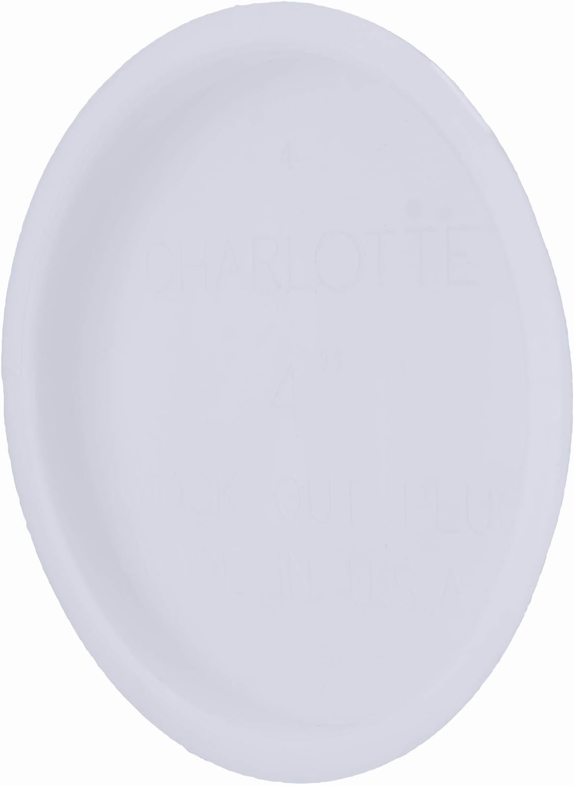 CHARLOTTE PIPE 4 Test Cap DWV (Drain, Waste and Vent) (1 Unit Piece)