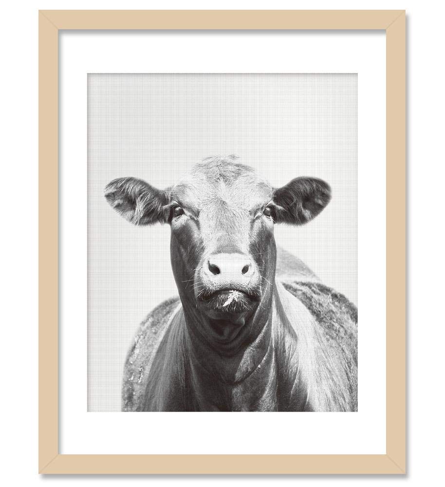 black and white animal prints for nursery