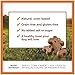 Instinct Grain Free with Duck Meal & Sweet Potatoes Natural Oven-Baked Biscuit Dog Treats by Nature's Variety, 20 oz.
