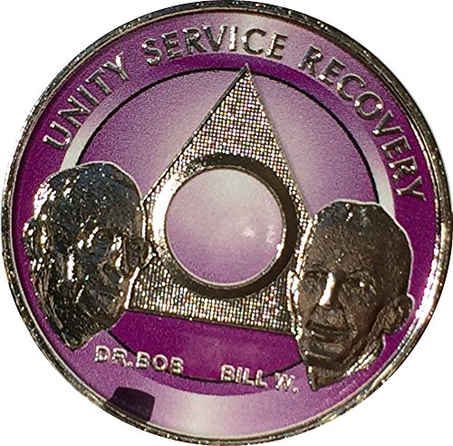 Purple & Nickel Plated Any Year 1-65 Custom Founders AA Medallion Chip