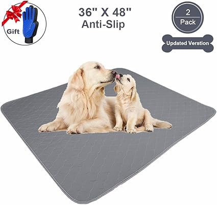 Amazon Com Jdpet Washable Pee Pads For Dogs Large Free