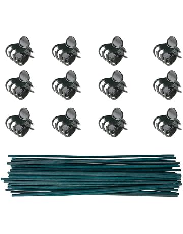 Amazon.es: Soportes para plantas: Jardín