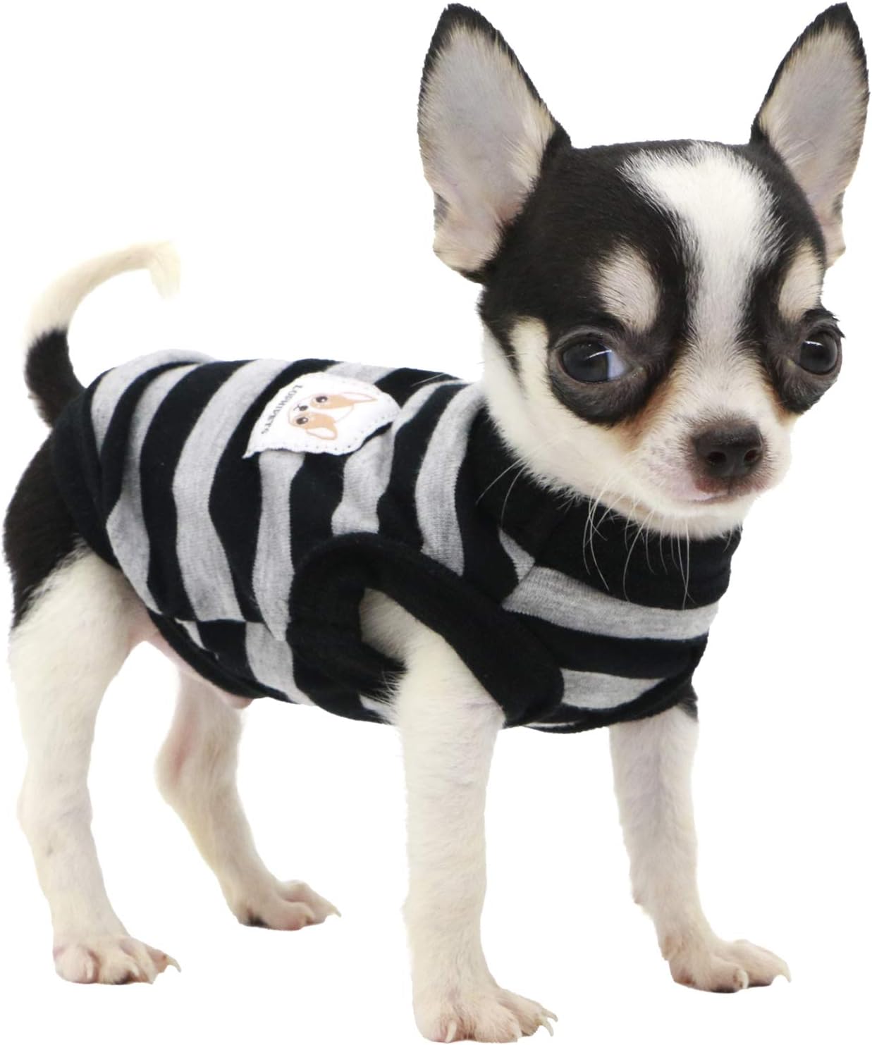 xx small dog clothes
