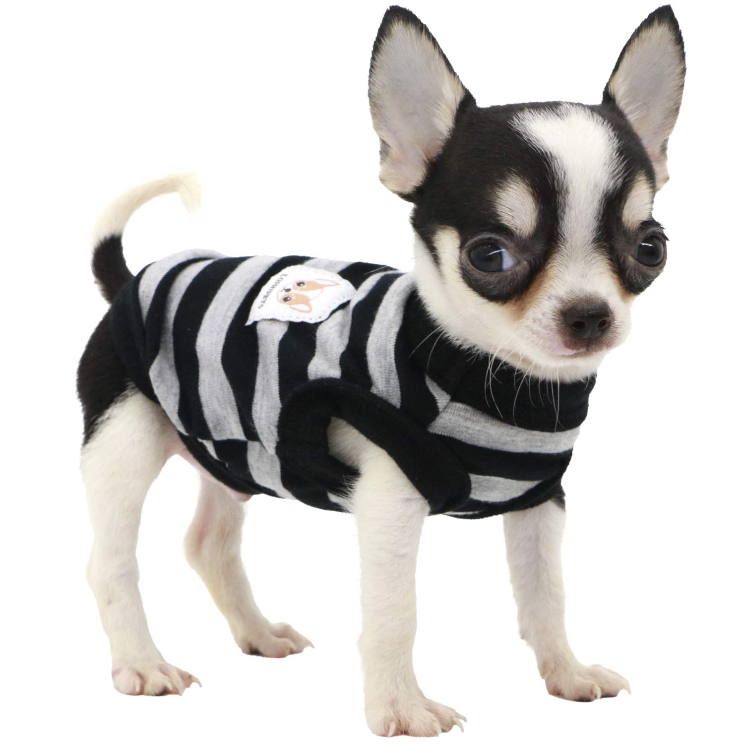 Photo 1 of LOPHIPETS 100% Cotton Striped Dog Shirts for Small Dogs Chihuahua Puppy Clothes Tank Vest-Black and Gray Strips/XXS