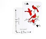 Apostrophe Games Blank Playing Cards 180pcs Matte Finish Jumbo Pack view 7