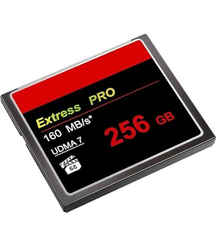 Amazon.com: Lexar LCF64GCRBNA800 Professional 800x 64GB VPG