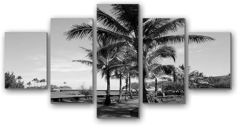 Amazon Co Jp ヤシの木ハワイ諸島の風景 5枚 パネル アートパネル 現代壁の絵 壁掛け部屋飾り背景絵画 キャンバス写真 壁アートしゃしん 木枠付きの完成品 装飾 軽くて取り付けやすい 100cmx50cm 黒と白 ホーム キッチン