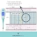 Digital Basal Thermometer with Backlight for Ovulation Tracking BBT (1/100th Accuracy) Bundled with 3 Pregnancy Tests by Wondfo for Natural Family Planning (NFP)