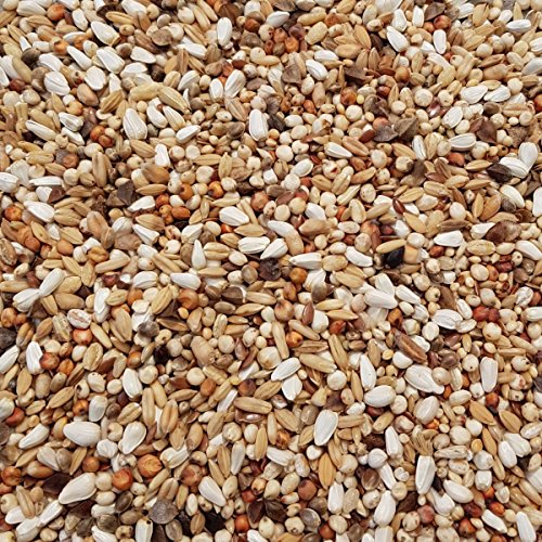 Supravit Super Diät Taubenfutter 5kg ohne Mais für Tauben während der Reisesaison für mehr Kondition | Ausgewogene Körnermischung | Vogelfutter alle Rassen