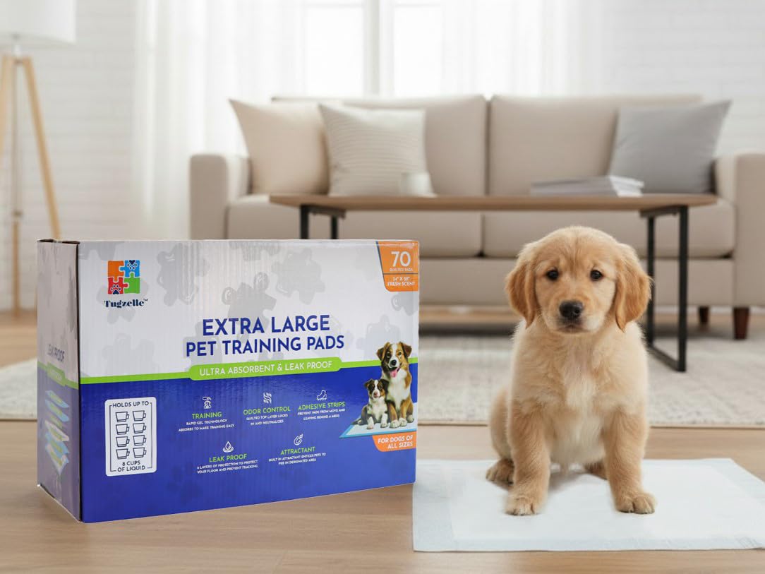 Photo 1 of Fresh Scent Extra Large Pet Training Pads - Ultra Absorbent Pads for Dogs Leak-Proof, Odor Control Pee Pads – Quick Dry Potty Pad for Puppies, Large Dogs, & Senior Pets (34" x 28", 70 Count)