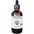 Senega Snakeroot Alcohol-Free Liquid Extract, Senega Snakeroot (Polygala Senega) Dried Root Glycerite Natural Herbal Supplement, Hawaii Pharm, USA 2 fl.oz