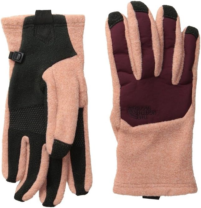 north face denali etip gloves women's