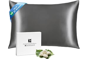 Ravmix Silk Pillow Case for Hair and Skin with Hidden Zipper, Both Sides 21Momme Mulberry Silk Pillowcase Cooling Pillow Cove
