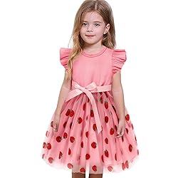 Sinhoon Toddler Girl Tulle Dress Summer Ruffle