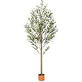 6FT Artificial Olive Tree Indoor Tall Realistic Faux Olive Tree with Plastic Planter, Fake Silk Tree with Handcrafted Branches & Fruits, Large Fake Plant for Home and Office Decor (6FT)