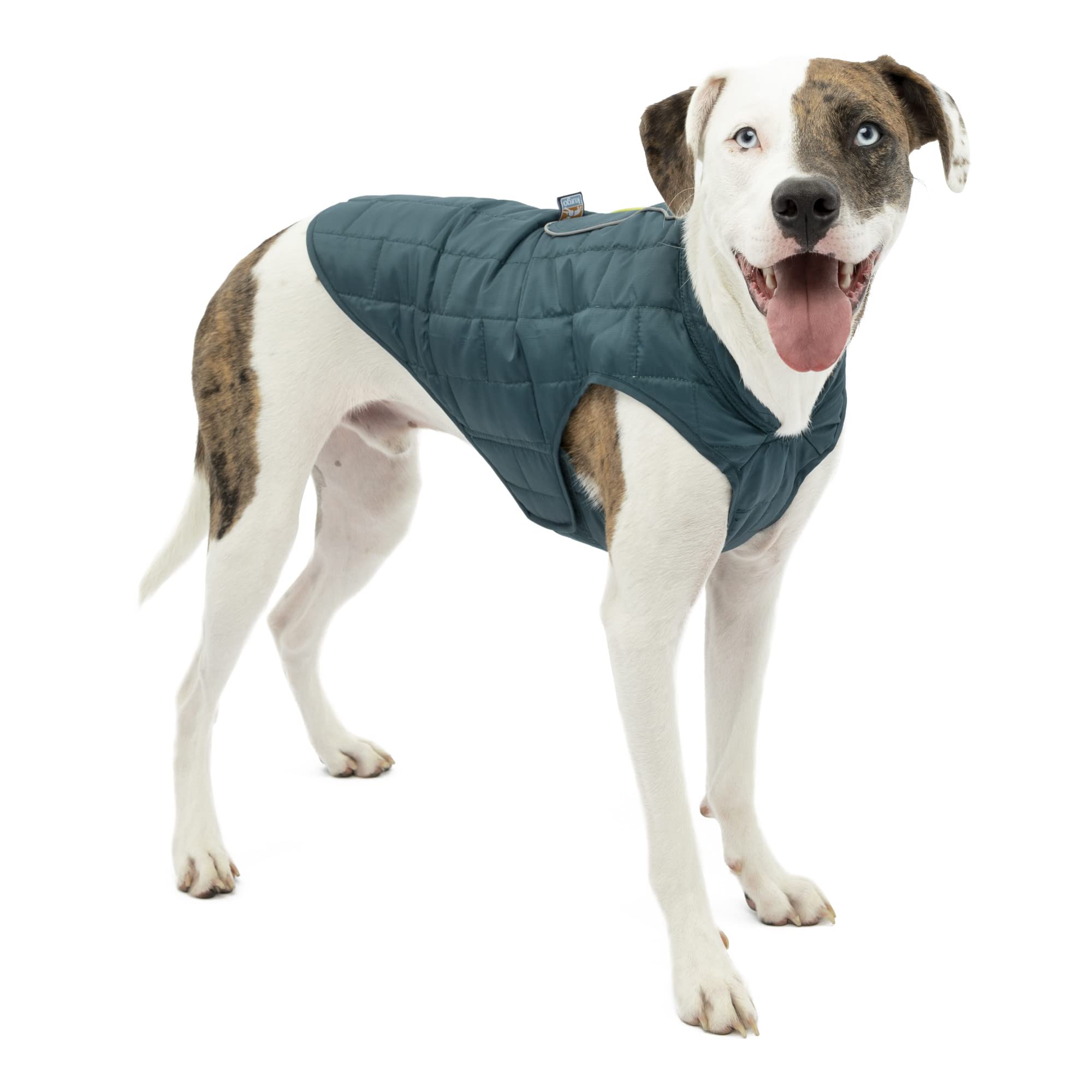 Photo 1 of (BAGGED) (USED/FAIR) Kurgo Loft Dog Jacket - Reversible Cozy Coat for Outdoor Adventures - Water Resistant - Athletic Fit - Machine Washable Fabric - Reflective Dog Gear - X-Large - Ink Blue