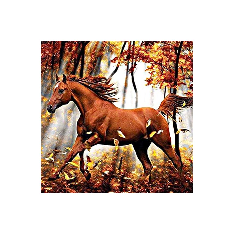 AIRDEA DIY Diamond Painting Horse Kits for Adults Kids, Round 5D Full