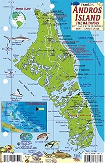 A Guide To The Birds Of North Andros Island Dr Joseph T - 