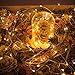 Oak Leaf 60-LED Fairy Lights,6-Pack Battery Operated String Lights,Warm White,9.8ft