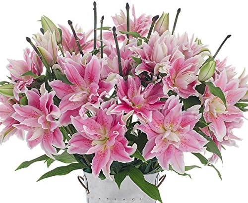Rose Lily Bouquet (10 Stem) with Vase - American Grown