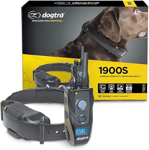 amazon e collar for dogs