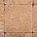 Andean Walnut Peruvian Travertine 4 X 4 Tumbled Field Tile - 4-pcs. Sample Set