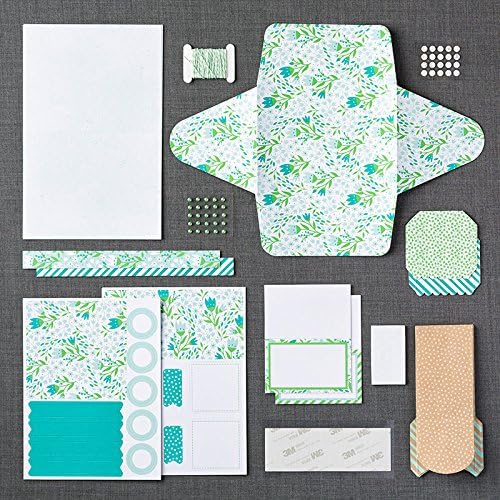 March 2016 Stampin' Up! Monthly Paper Pumpkin Pocketful Of Cheer Complete Kit