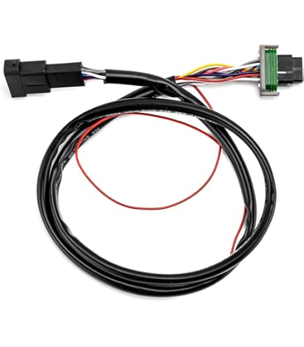 Amazon.com: Namz Custom Cycle Products NSXH-RG2 Speedometer and