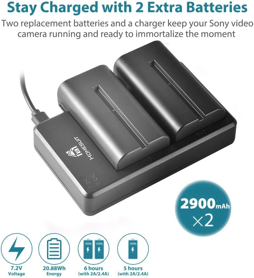 Homesuit NP-F550 Battery 2900mAh and Dual LED Charger Kit Compatible with Sony NP-F970 F960 F770 F750 F570 F550 F530 F330 CCD-SC55 TR516 TR716 TR818 TR910 TR917 TR940 (2-Pack) - Image 4