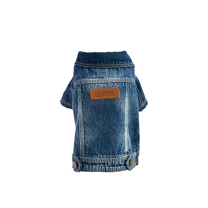 one piece dress with jeans jacket