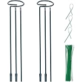 2 Pack (DIY) Plant Support Stakes, Three Sizes (12 or 24 or 36 inch) Plant Support Rings with 20 Pcs Plant Twist Ties, Garden Stake for Indoor Outdoor Plant Flowers, Amaryllis, Tomatoes