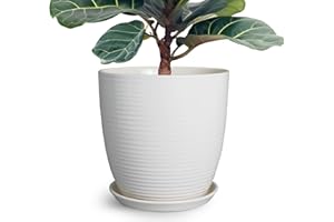 EPFamily 12 Inch Ceramic Planter Pot, Large Planter with Drainage Hole and Saucer Round Flower Pot for Indoor Outdoor Plants, White