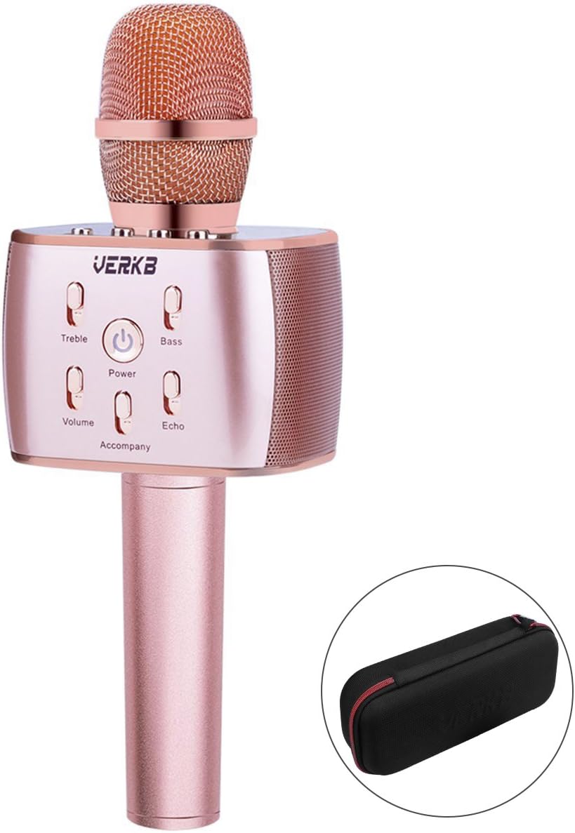 q5 karaoke microphone and speaker