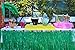 Tropical Luau Party Decoration, Hawaiian Beach Tiki Moana Theme Party Supplies, Including Green Grass Table Skirt, Balloons Garland, Palm Leaves