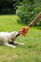 Petface Seriously Strong Plush Dragon Dog Toy view 4
