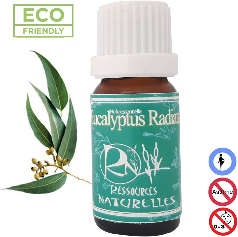 Huile essentielle d'Eucalyptus Radiata 30ml Amazon.fr HygiÃšne et